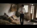 Download Lagu 躲雨少女意外被中春藥的禁慾總裁當解藥，總裁看到身下的殷紅，發現她是第一次，隔天便把她接回豪門寵上天《裴总夫人要回农村》#短劇 #甜寵 #總裁灰姑娘 #楓念短剧