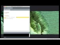 Processing Tutorial 05 - Loops