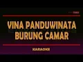 Download Lagu Vina Panduwinata - Burung Camar (ORIGINAL KARAOKE)