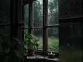 Download Lagu Heb je ooit regen gezien? | Rainfolk, liefde uit de jaren 70.