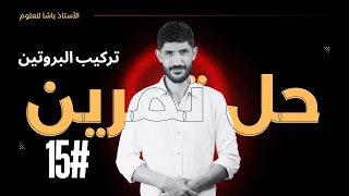 ثالثة ثانوي - تمرين أليات تركيب البروتين - شعبة رياضيات و علوم تجريبية