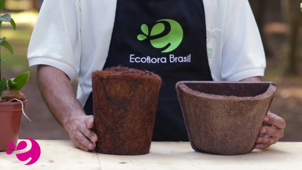 COMO COLOCAR A ORQUÍDEA EM UM VASO DE FIBRA DE COCO OU XAXIM