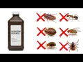 The Hidden Hydrogen Peroxide Trick for Killing Pests