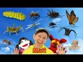 Bugs What Do You See Song Find It Version Dream English Kids