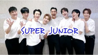 Download super junior \ MP3