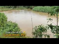 Lagu MANCING IKAN:TAK PERLU PERGI KELANTAN NAK CARI EMAS 😱 SINI PUN ADA EMAS BERKILAT????? 😱😱😱😱