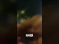 Emergency Response on Cicero and Gladys