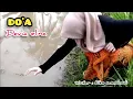 Download Lagu DO'A - DEVIA ELINA - Writer : EKO SAMUHUDI #music #lagu #musiccover