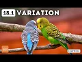 IGCSE Biology - Variation topic 18 1