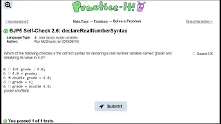 Java Practice-it Primitive Data and Definite Loops Self-Check 2 6 declareRealNumberSyntax