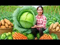 Download Lagu Harvesting giant cabbages and carrots, bring them to the market to sell, cook food for pigs