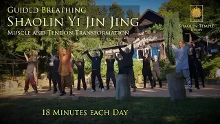 Download 易筋經 · Yi Jin Jing (with Guided Breathing · inkl. Anleitung) MP3