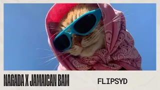 nagada x jamaican bam flipsyd afro desi 