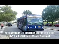 2019 NovaBus LFS SmartBuses On The Bx3 Bx13 Bx28 Bx30 Routes Bronx Division