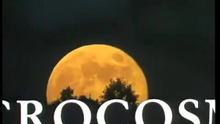 Microcosmos Le peuple de l'herbe (1996) - Bande Annonce