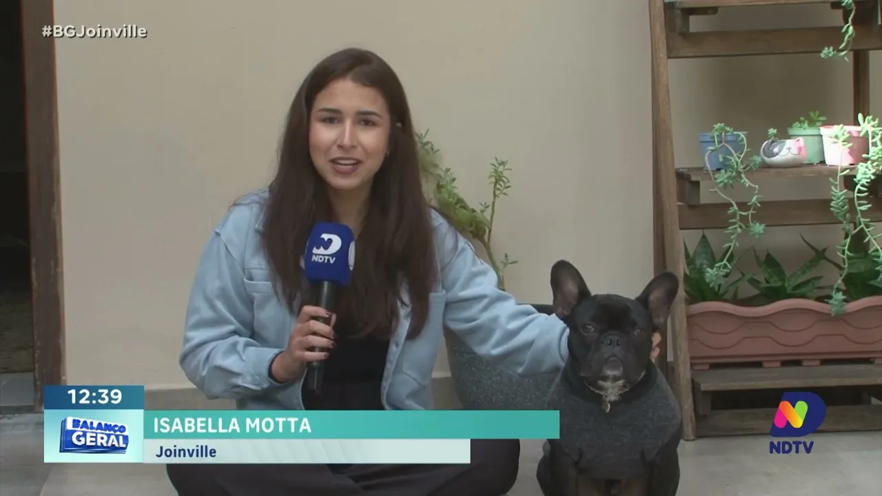 Meu Amigo Animal: cuidados de Inverno para animais de estimação