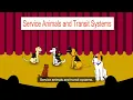 Service Animals and Transit Systems