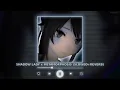 SHADOW LADY x METAMORPHOSIS | (Perfectly Slowed + Reverb) || [P4nMusic TIKTOK MASHUP]