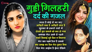 Guddi Gilhari Hit TOP 10 Songs गुड्डी गिलहरी का दर्द भरा गीत Hindi Sad Song | गुड्डी गिलहरी ग़ज़ल