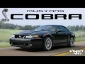 I Bought my High School Dream Car - 2003 Ford Mustang SVT Terminator Cobra Review