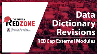 Data Dictionary Revisions
