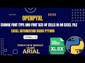 Excel Automation Tutorial - 13 Customizing Fonts Font Type Size openpyxl Python
