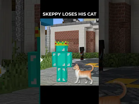 Skeppy Lost His Cat... 😭
