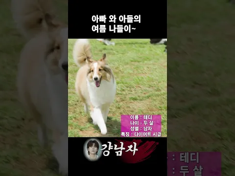 아빠와 아들의 여름 나들이 #shorts