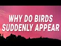Download Lagu Lady Gaga - Why do birds suddenly appear (Close To You) (Lyrics)