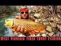West Virginia Just Stocked RARE Tiger Trout Here s How to Catch Them