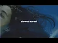 Download Lagu billie eilish - wildflower (slowed + reverb)
