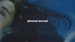 Billie Eilish Wildflower Slowed Reverb 