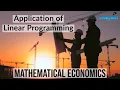 Application of Linear Programming Mathematical Economics