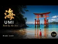 UMI - Japanese Ocean Music for Deep Sleep Tranquility Torii by the Sea 1 Hour