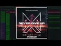 EMDI x B.R.T - Never Give Up (feat. NAJA) (FL Studio Remake)