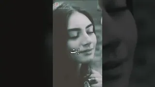انت اجمل قلب شوفتو     رضا البحراوي  احمد عامر دندنها
