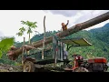 Download Lagu Agricultural Vehicle Girl Transporting Dangerous Wood in Front of Farmer's House