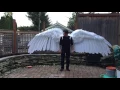 Download Lagu Articulated Pneumatic Wings