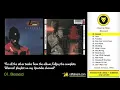 Beenie Man - Blessed (Beenie Man - Blessed, Island Jamaica, 1995)