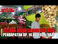 Download Lagu Jadi Sudagar Buah kaki lima Design Supermarket | Toko Istana Buah Segar_Faz-Nun