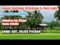Suara Suasana Pedesaan di Pagi Hari dan Suara Seruling Merdu Rindu Suasana Damai - Relax Pikiran