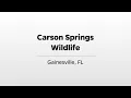 Carson Springs Wildlife Conservation - WUFT s Greater Good