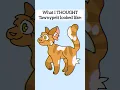 What I Thought Warrior Cats Looked Like - PART 1