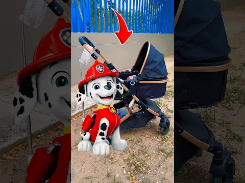 Descubrí a mi hijo jugando con un paw patrol 😱😱 #shorts #viral #viralshorts #viralvideo #fyp