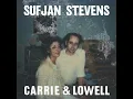 Death with Dignity - Sufjan Stevens