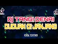 Download Lagu lagu dj viral tiktok TANGI DENAI DUDUAK DI JANJANG 2022‼ tabana channel