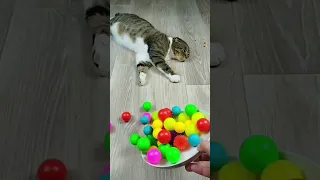 Cat Barsik Beads 🌈 Marbles 🔥 Reverse video