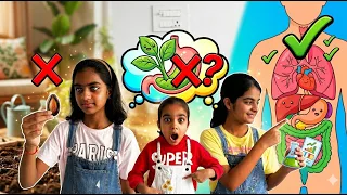 KatyCutie and Ashu teach sister Anshinin how seeds are grown kids Science stories
