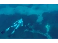 Riding Currents