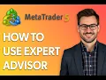 How To Use Expert Advisor Metatrader 5 Step by Step Guide